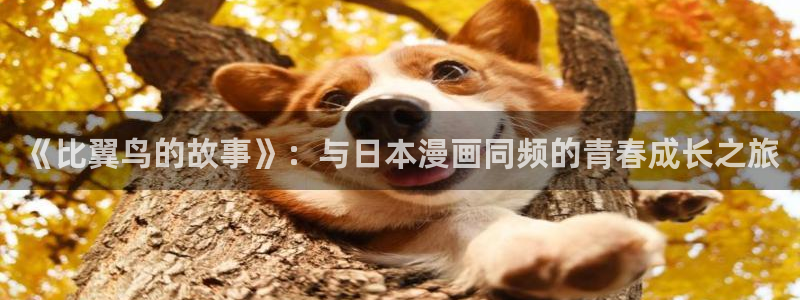 香蕉文化漫画小说最新版本更新内容：《比翼鸟的故事》：与日本漫画同频的青春成长之旅