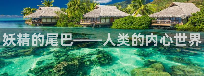 香蕉漫画书免费阅读：妖精的尾巴——人类的内心世界